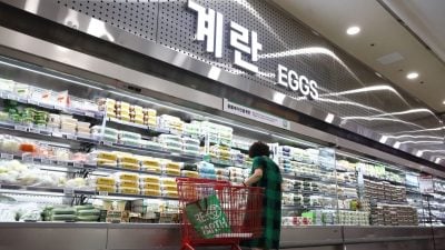 期待新政府拚经济  韩6月消费者信心4年最高