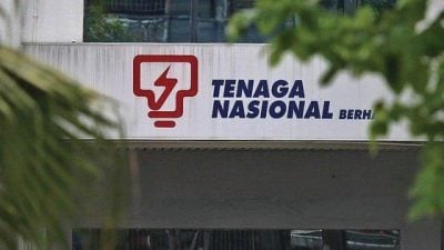 非法占地延迟赔偿  上诉庭判国能赔逾54万利息