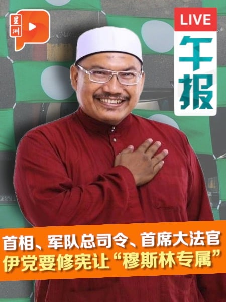只许穆斯林当首相总司令大法官？伊党高层开口要修宪