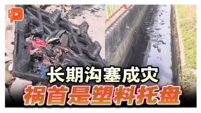 长期沟塞成灾 祸首是塑料托盘