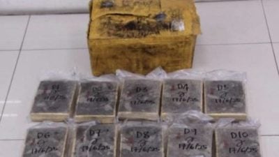 大麻走私入隆 警截运毒车起70砖值逾23万
