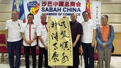 与中国合作共赢 沙中商会搭建交流桥梁