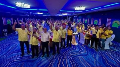 杨伟光：捍卫权益 沙须自行掌管钥匙