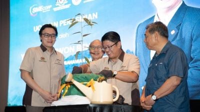 依温：大势所趋 中小微企须实践ESG