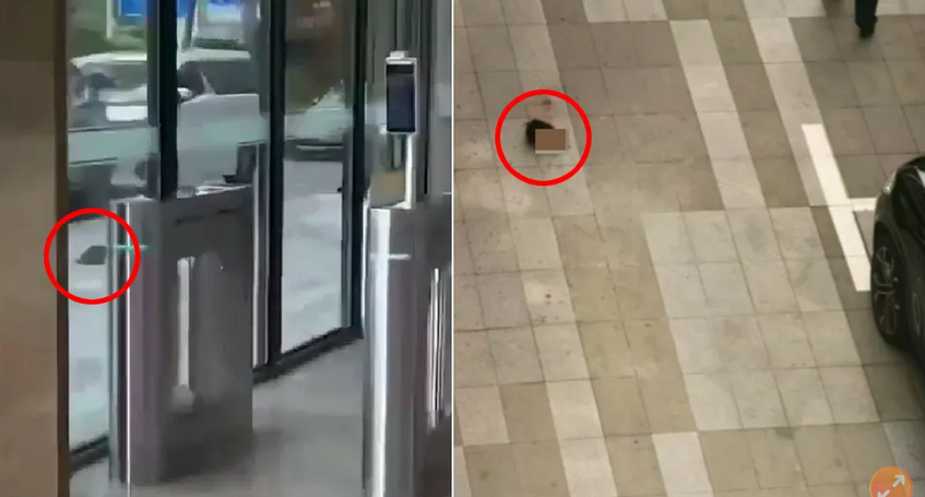 “天降人头”砸在人行道上! 住户不爽封路硬要看:差点吐出来