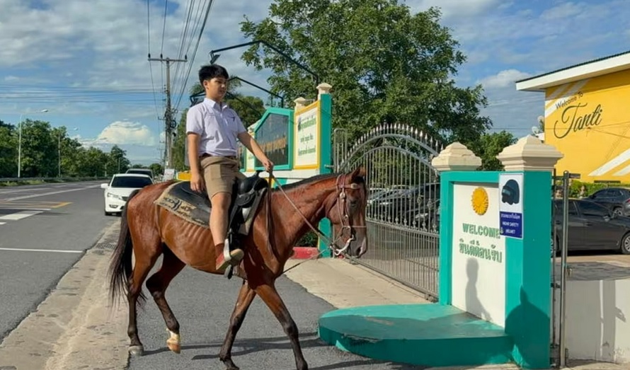 “我的交通工具是马！” 泰国男生另类上学方式走红