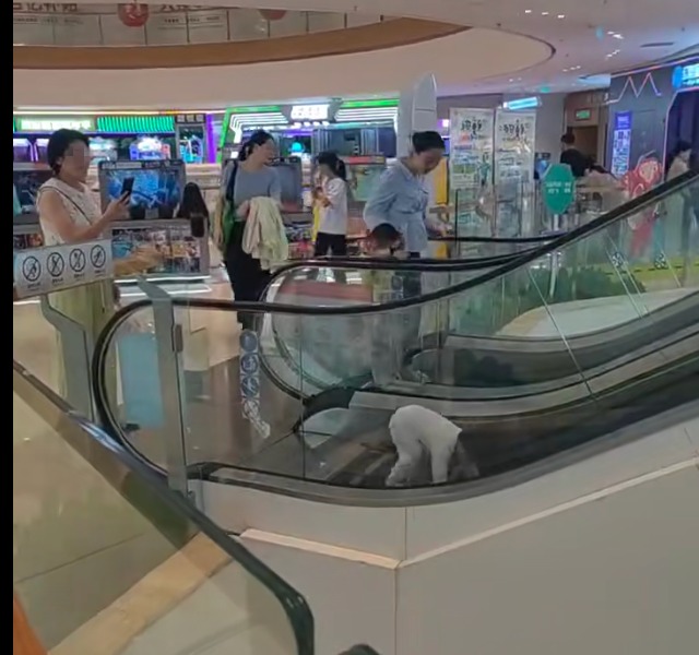 “这是拿命换流量吗？” 拍孩子玩手扶梯被骂翻 