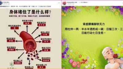 求真 | 脚软服杜仲七日就痊愈？ 专家：肝虚不足脚软才有效