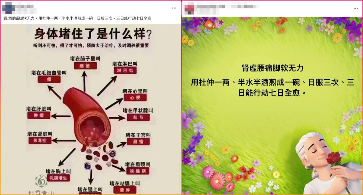 【求真】| 脚软服杜仲七日就痊愈? 专家:肝虚不足脚软才有效