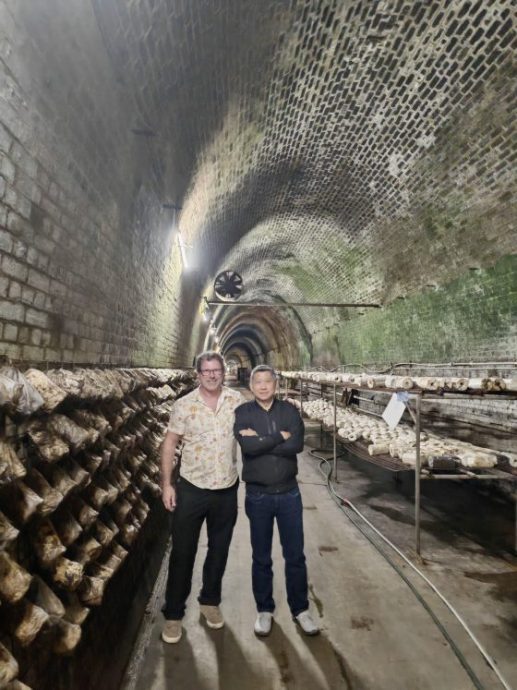 【澳洲】Vivid Sydney:点亮悉尼,也点亮世界创意旅游的灵感