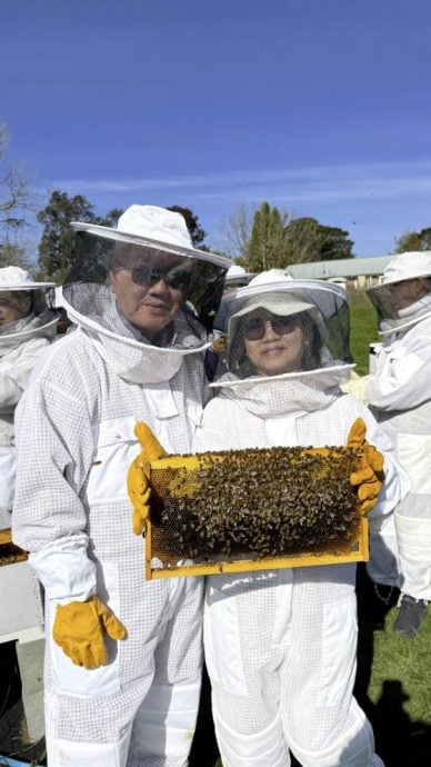 【澳洲】Vivid Sydney:点亮悉尼,也点亮世界创意旅游的灵感