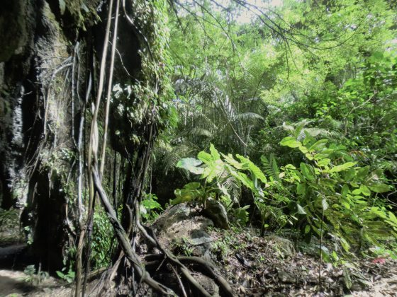 【马来西亚‧霹雳】务边椰壳洞:寻幽探奇走岩洞