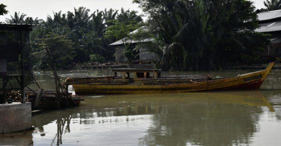 【马登船家:造船/02】不载渔获只载红树桐,一艘红树船耐用50年