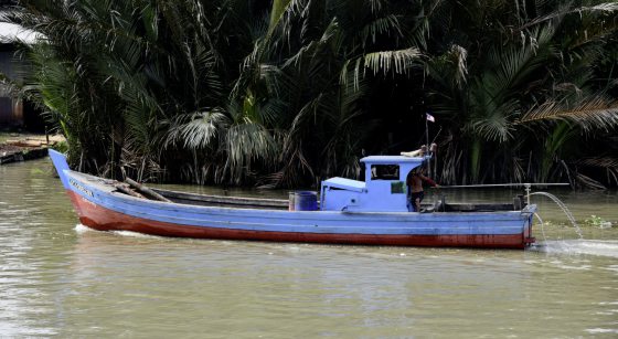 【马登船家:造船/02】不载渔获只载红树桐,一艘红树船耐用50年