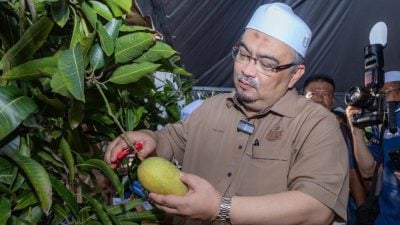 副大臣：勿荒废良田  吁丹民善用土地种植