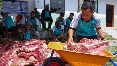 MAIK宰牲69头牛 分派给3700原住民家庭