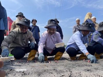 东(已签):“2025年吉兰丹州洋葱种植计划”正式启动