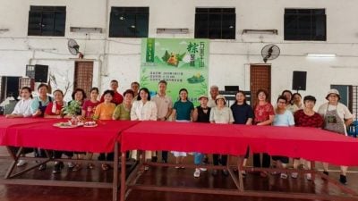 双溪内村委会办裹粽赛    村民齐聚乐在其粽