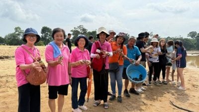 释放100潮龟 救离濒危   3海南会馆携手办龟类保育活动