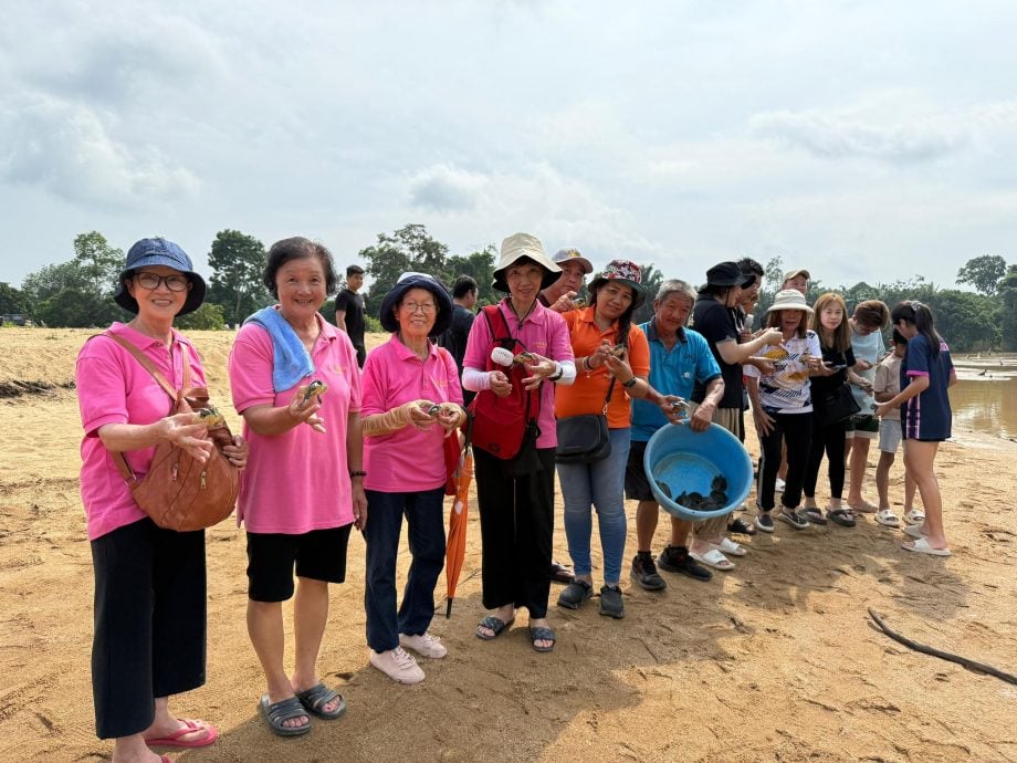 东:已签发:三大海南会馆(甘马挽海南会馆、关丹海南会馆、甘马仕海南会馆)历史性地首次携手合作,成功举办了一场意义非凡的龟类保育活动“潮龟放生与保育教育日”。