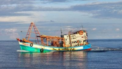 越南渔船非法闯入 海事局充公150万海产