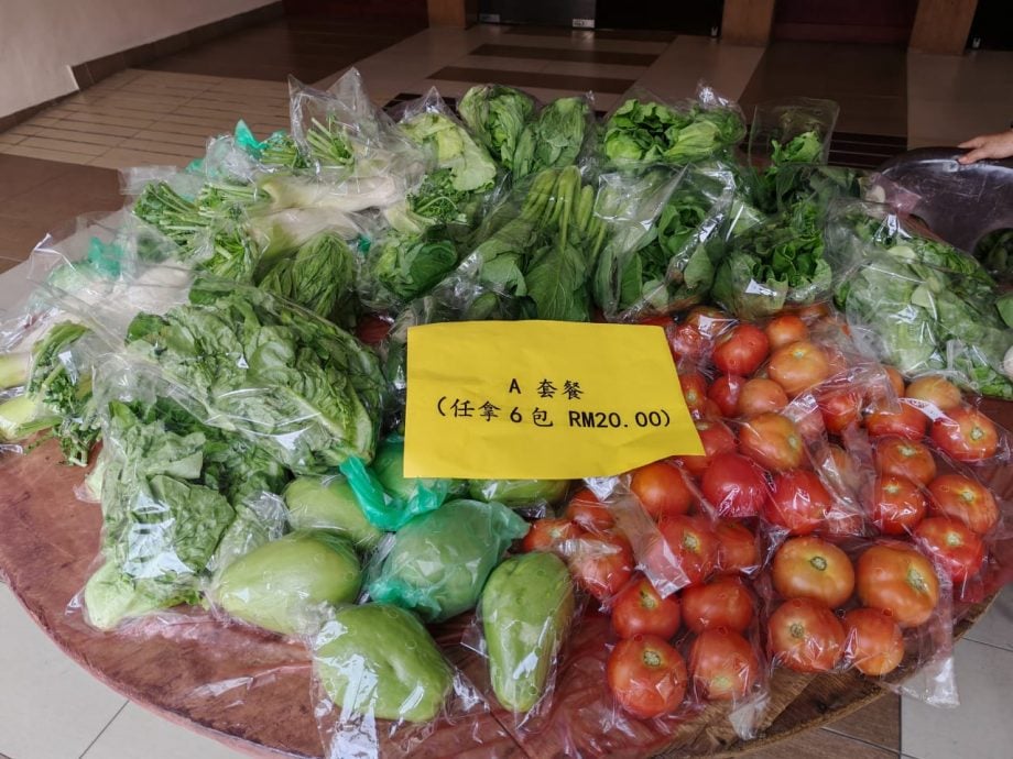 东：（已签发） 马华彭亨州妇女组金马仑新鲜蔬果义卖会