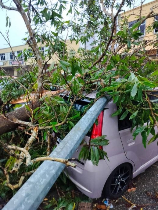 东:(已签发)风灾袭淡马鲁文德甲 屋顶轿车皆遭殃