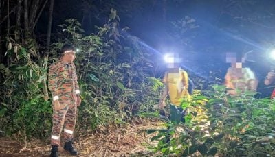 2男游山玩水迷路  20人进山搜救成功