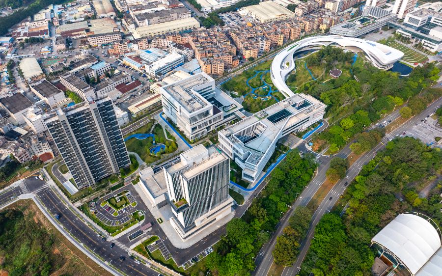 中国教育部同意设立大湾区大学 面向港澳粤