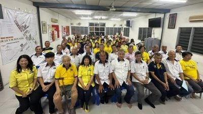 丹绒马林区会：马华要上阵丹绒马林 反对败选者再代表出征