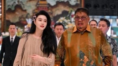 任“旅游年亲善大使”游客激增 范冰冰获甲首长表彰