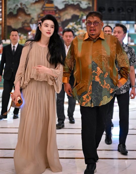 任“旅游年亲善大使”游客激增 范冰冰获甲首长表彰