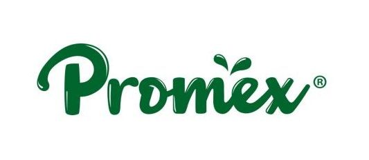 供星洲网:《学生阅报计划》第一期有奖填字游戏成绩出炉