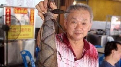 竹笋界的巨无霸！你见过吗？