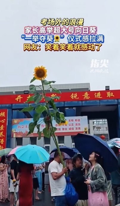 供星洲网:视频|考场外的浪漫!家长纷举向日葵 祝福“一举夺魁”