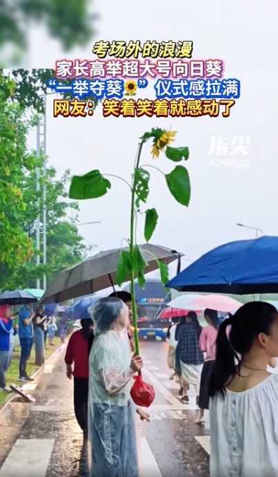 供星洲网:视频|考场外的浪漫!家长纷举向日葵 祝福“一举夺魁”