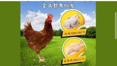 诱点击链接盗个资  “1只鸡卖RM5.99”有诈