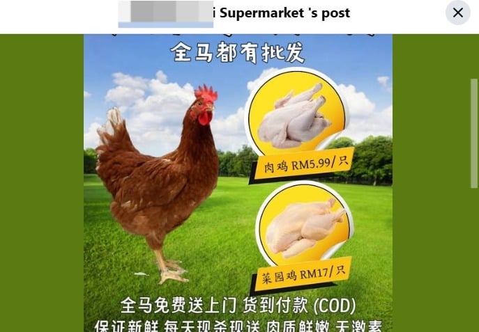 全国版/求真/“买鸡无压力不受骗，货到付款，1只鸡也照卖”轻信天下有便宜鲜鸡 网民误坠“鸡陷阱”