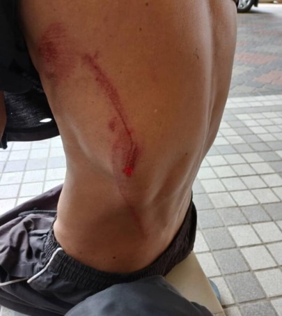 **全国综合（只供网）**牛暴冲、牛“复活”  多个哈芝节宰牲祭场传惊魂事故