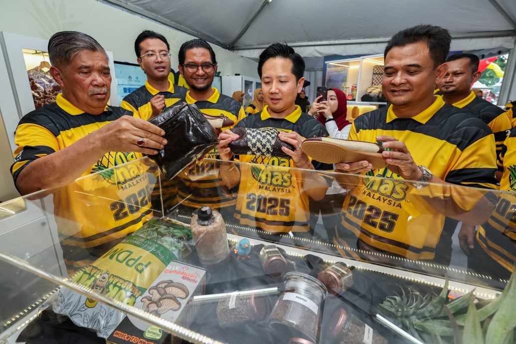 全国:大马统计局开展国人对黄梨接受度调查