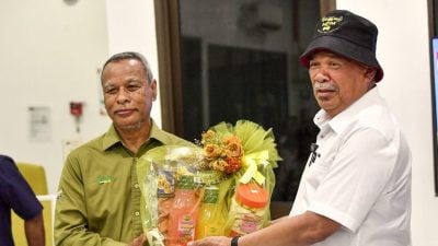 农长：不依赖伊朗进口  伊以冲突不影响粮食供应
