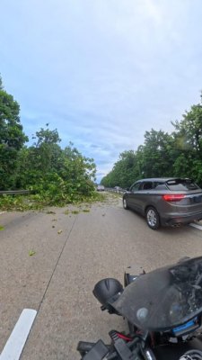 南北大道宋溪往美罗  树倒横卧路面