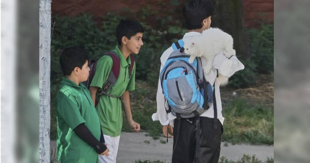 印度私校学费暴涨引抗议潮 学生因拒缴被赶出教室！