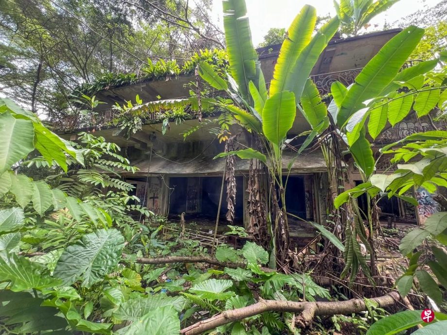 狮城政府柔王储交换2土地  免发展影响植物园世遗区