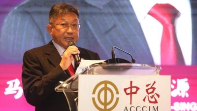 高泉庆：强化东盟经济一体化 柔新特区是典范