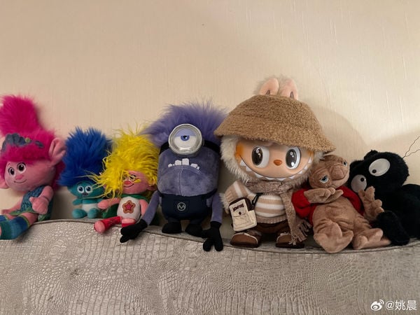 去年买还被笑丑! 姚晨手持全球爆红限量版Labubu