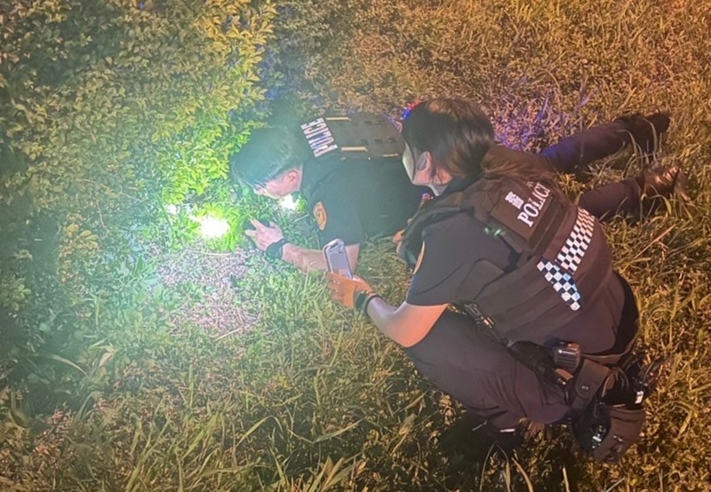 台警用喵喵叫及零食 国道分隔岛柔性诱捕幼猫