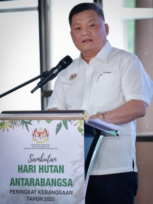 各州受促在州条例套用2022年国家森林修正法令