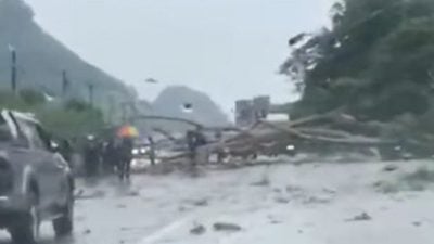 和丰风灾 多地倒树 屋顶开天窗