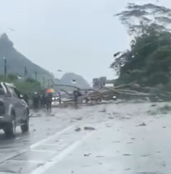 和丰风灾 多地倒树 屋顶开天窗